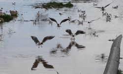 Çekerek Sürayyabey Barajı'nda iki kat artan doluluk çiftçileri ve balıkçıları mutlu etti