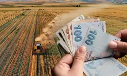 Tarım Arazileri İçin Büyük Teşvik: Hataylı Üreticiye Hibe Fırsatı!