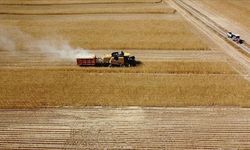 Çiftçilere 8,7 milyar lira tarımsal destekleme ödemesi bugün yapılacak