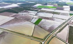 Çukurova'yı yağmur vurdu: Tarım arazileri sular altında