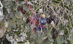 Dağda mahsur kalan keçi kurtarıldı