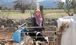 Denizli'de kadın girişimci devlet desteğiyle hayal ettiği çiftliği kurdu