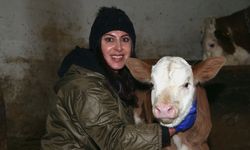 Devlet desteğiyle besi çiftliği kuran girişimci kadın hayvan sayısını artırmayı hedefliyor