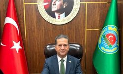 Doğan'dan limon ithalatı değerlendirmesi: 'Depoda ürünü olan üretici zorlanabilir'