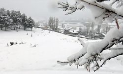 Doğuda kar ile soğuk hava etkili oluyor