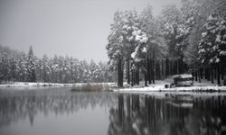 Düzce'deki Topuk Yaylası karla kaplandı