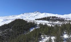 Erciyes'te 15 yılda yaklaşık 7 milyon fidan toprakla buluşturuldu