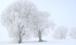 Erzurum, Ardahan, Kars ve Ağrı'da dondurucu soğuk hava etkili oluyor
