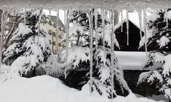 Erzurum, Ardahan ve Kars'ta soğuk hava etkisini sürdürüyor