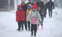 Erzurum, Kars ve Ardahan'da kar etkili oluyor