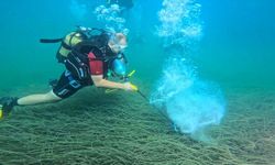 Garanti BBVA ve TURMEPA 'Mavi Nefes Projesi' ile deniz çayırlarını koruyor