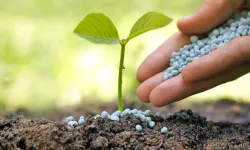 Savaş Fiyatları Uçurdu: İşte Gübre Vergisindeki Son Durum