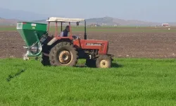 10 Yıllık Yasak Kalktı, Tarlada Kullanımına Onay Verildi!