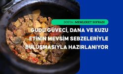 Gudu güveci