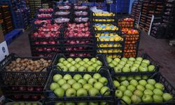 Hal işlemlerinde çifte fatura ve düşük fiyat bildirimiyle vergi kaybı tespit edildi