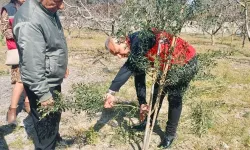 Hataylı Çiftçilere Tarlada Uygulamalı Eğitim