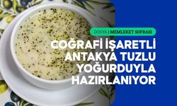 Hatay tuzlu yoğurt çorbası