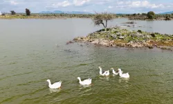 Hatay'ın Haydarlar Gölü Yeniden Doldu