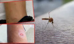 Hataylının Kabusu Başlıyor: Acil Çalışma Başlatılmalı!