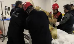 Hatay'da Can Pazarı: Fabrika İşçisinin Göğsüne Demir Saplandı