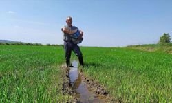 İstanbul Ticaret Borsası: Türkiye'de gübre stokları yeterli seviyede ve arz yönünden bir sorun bulunmuyor