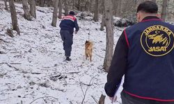 JASAT, İstanbul'da 10 yıl önce işlenen cinayeti aydınlattı