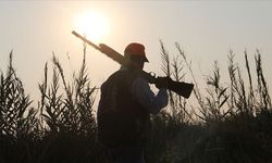 Hatay'da Av Sezonu Kapandı, Kaçak Av Bitmedi !