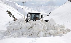 'Kar kaplanları' ilkbaharda metrelerce karla mücadele ediyor