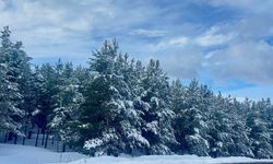 Kars ve Ardahan'da ekiplerin karla mücadele çalışması sürüyor