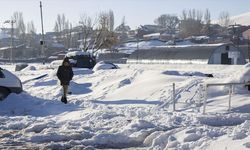 Kars'ta sulak alanlar dondu, bitki ve ağaçlar kırağı tuttu
