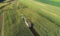 Kırsalda kalkınma 3 yılda yaklaşık 65,5 milyar liralık yatırımla desteklenecek