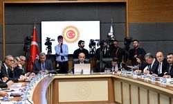 Koruma altında olmayan yaban hayvanları riskli durumlarda avlanabilecek