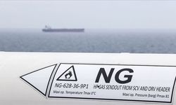 LNG ithalatçısı ülkeler alternatif tedarik kaynakları arayışında