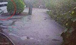 Manavgat'ta servis otobüsü ile hafif ticari araç çarpıştı