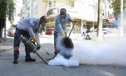 Mersin Büyükşehir Belediyesi kent genelinde haşereyle mücadeleyi sürdürüyor