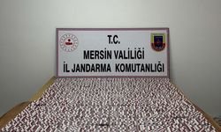 Mersin'de uyuşturucu ticareti yaptığı iddiasıyla yakalanan şüpheli tutuklandı