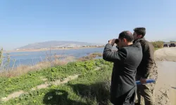 Hatay Valisi Mustafa Masatlı Milleyha Sulak Alanı'nı inceledi