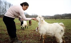 Moda tasarımcısı şehrin stresinden uzaklaşmak için kamp yaptığı köye göç etti