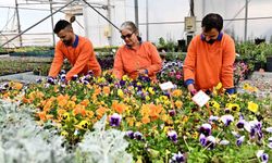 Muratpaşa'dan örnek bitki üretim modeli