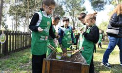 Orman Okulunda miniklere doğa dersi