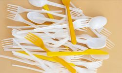 Türkiye’de Tek Kullanımlık Plastikler Tarihe Karışıyor !