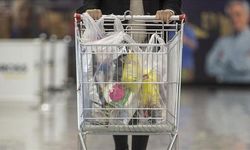 Plastik poşet uygulamasıyla 2,8 milyon ton atığın oluşumu engellendi