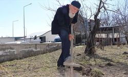 Sivas'ta yaşayan 99 yaşındaki 'Kaya dede' enerjisiyle dikkati çekiyor