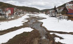 Sivas'taki Eğriçimen Yaylası baharın gelişiyle bir başka güzelliğe büründü