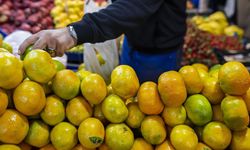 Tarım, gıda ve içecek sektöründen yılın ilk ayında 2,4 milyar dolarlık ihracat