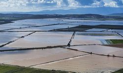 Tarım sezonunun ilk 5 ayında yağışlar geçen yıla göre yüzde 75 arttı