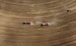 Türkiye genelindeki tarım sayımında sona yaklaşıldı