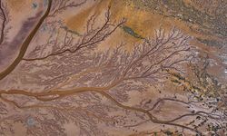 Tuzla Palas Gölü'nü besleyen suların oluşturduğu izler ağaç dallarını andırıyor