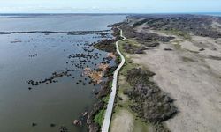 UNESCO listesindeki Kızılırmak Deltası su seviyesinin artmasıyla canlanmaya başladı