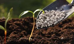 Gübrede Kritik Karar: Üre İthalatında Gümrük Vergisi Sıfırlandı